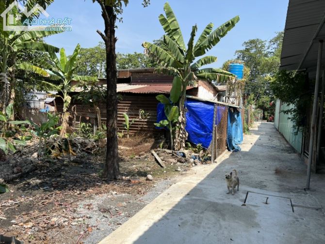 Đất An Sơn 20, Đã đổ thêm con đường bê tông trãi dài hết đất, Thích hợp xây nhà sổ chung - 5
