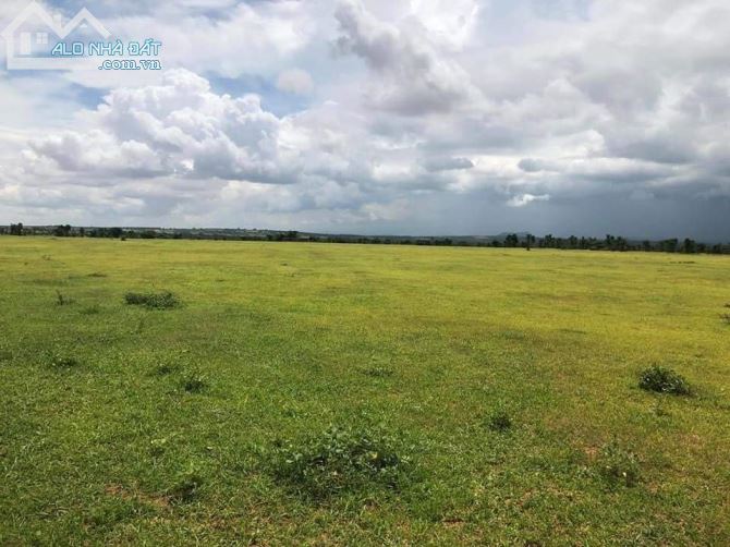 Bán 2177m2 đất vườn xã sông luỹ, huyện bắc bình, giá chỉ 245tr, gần farm, dân cư và QL1A - 1