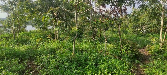 Bán 5000m2 Giáp Hồ Ea Kao, view hồ rộng cực đẹp, Mua lên đuợc Thổ cư - 2