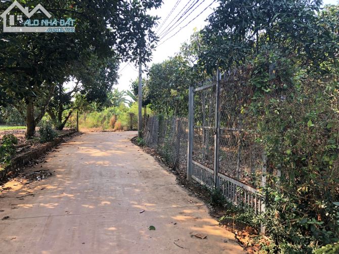 Vườn xoài Cát 1102m2, mặt đường bê tông 46m, có 100m2 thổ cư, view hồ.