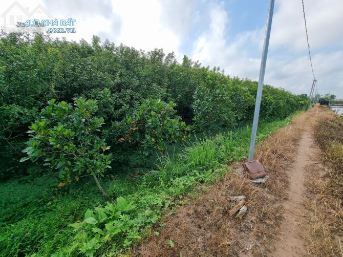 THAY ĐỔI KHÔNG GIAN VÀO NHỮNG NGÀY CUỐI TUẦN TRẢI NGHIỆM SÔNG NƯỚC MIỀN TÂY TẠI CỒN SƠN