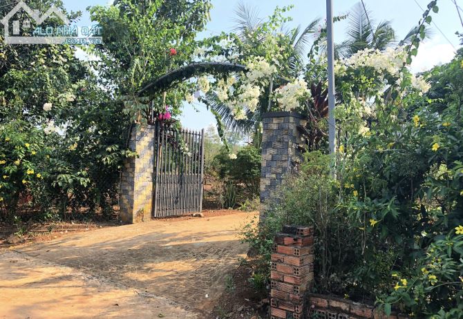 Vườn xoài Cát 1102m2, mặt đường bê tông 46m, có 100m2 thổ cư, view hồ. - 1