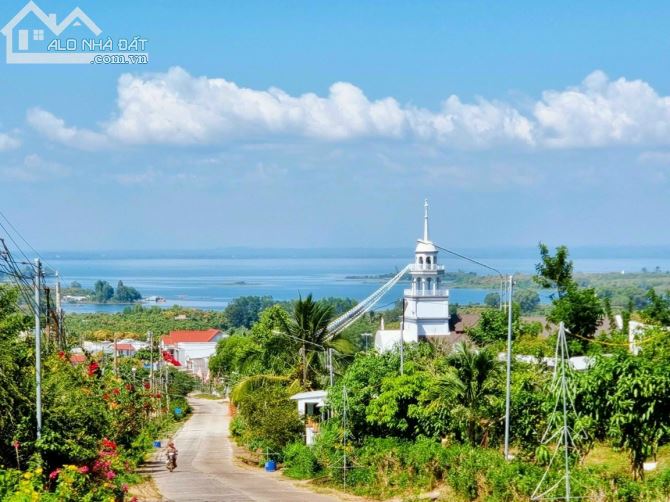 Vườn xoài Cát 1102m2, mặt đường bê tông 46m, có 100m2 thổ cư, view hồ. - 3
