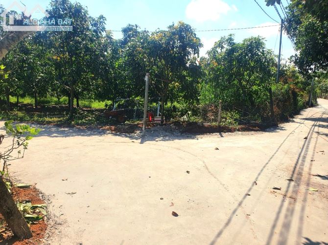 Vườn xoài Cát 1102m2, mặt đường bê tông 46m, có 100m2 thổ cư, view hồ. - 5