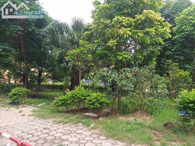 💥 Siêu đầu tư, Đất vàng Trần Quang Diệu, Đống Đa 685m2 MT 30m. Chỉ 95 Tỷ (SĐCC) 💥 - 1