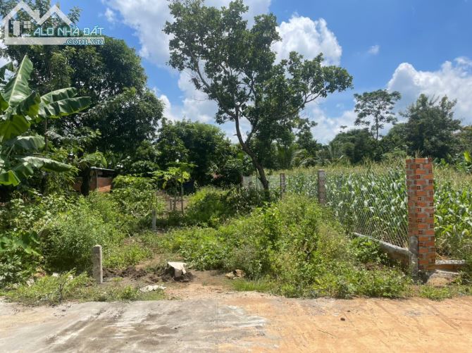 💥 Bán gấp đất Hoà Phú hẻm cấp 1 QL14 ngay chốt công an 5×26 chỉ 760tr - 4