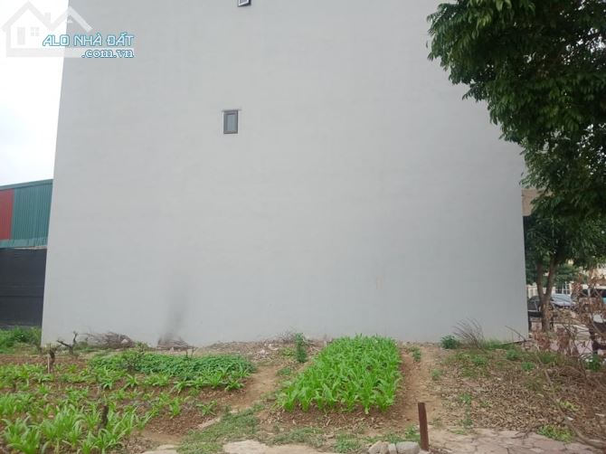 Bán đất phân lô Dương Nội, Hà Đông, 100m2, mt10m, ô tô, lô góc giá 28 tỷ