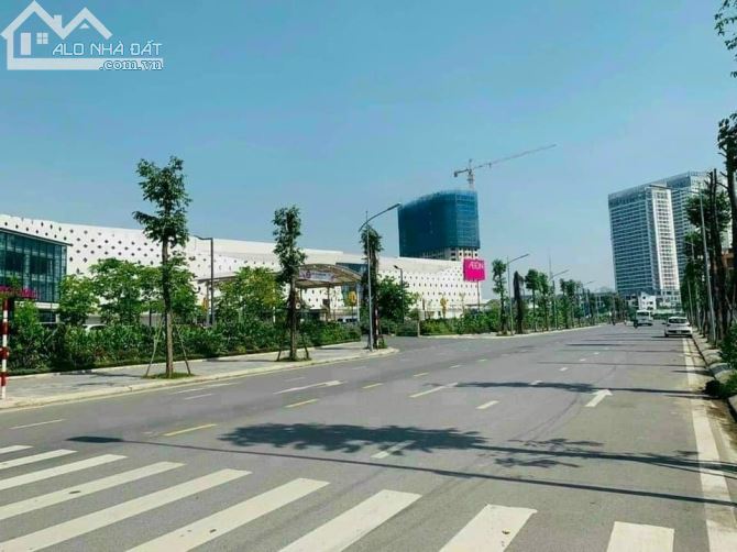 Bán đất phân lô Dương Nội, Hà Đông, 100m2, mt10m, ô tô, lô góc giá 28 tỷ - 1