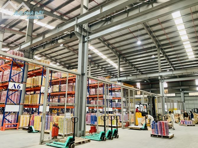 Cho thuê 3000m2-10.000m2 nhà xưởng xây mới TT Long Biên - 4