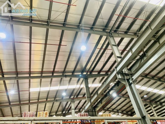 Cho thuê 3000m2-10.000m2 nhà xưởng xây mới TT Long Biên - 5