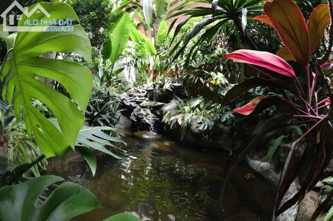 BÁN BIỆT THỰ 3 TẦNG 426M2 – TÔ NGỌC VÂN - HỒ TÂY - VỈA HÈ RỘNG - XÂY TÒA HOMESRAY - 2