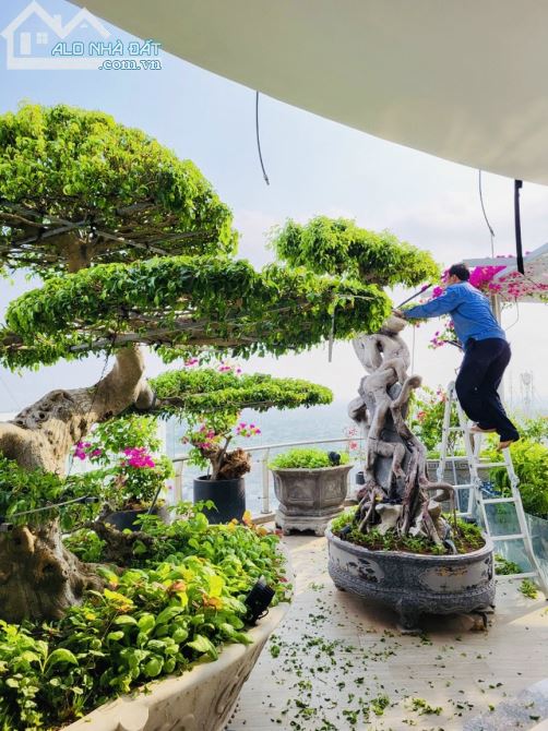 cho thuê penhouse Gateway 3PN full nội thất sân vườn rộng 238m2 - 4