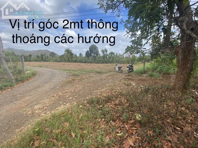 D946   ✅  Bán đất NN hẻm cấp 2 đường Vành Đai 10-3 thuộc thôn 3 xã Cư Êbur- Tp Bmt- Daklak - 3