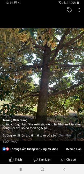 Bán đất vườn xã phuán huyện tân phú tỉnh Đồng Nai