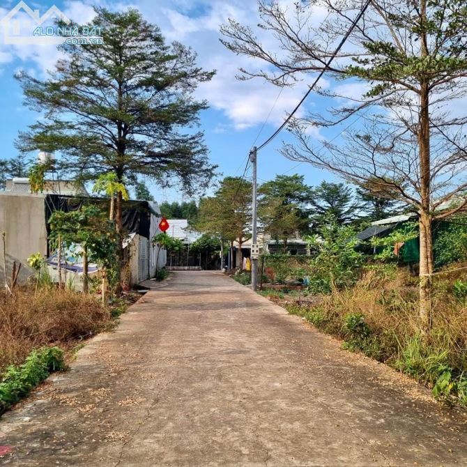✨ Lô đất mặt tiền đường bê tông qh khu dân cư TUYỆT ĐẸP. Diện tích: 5*21m. GIÁ: chỉ 979 Tr