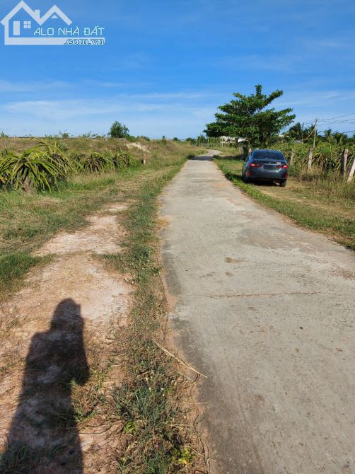 Cần bán 2000m2 đất cây trồng Hàm Chính,lô góc 2 mặt tiền đường bê tông trục chính, km7-HTB - 1