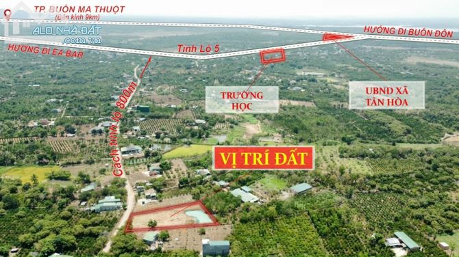 Kẹt tiền bán gấp đất sào thổ cư tại tân hoà buôn đôn - 1