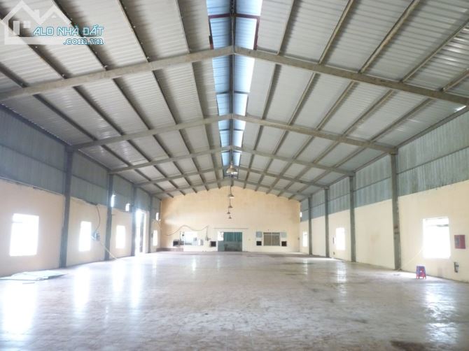 Cho thuê 200m², 250m², 300m², 540m², 720m², 1200m², kho nhà xưởng Sơn Trà TP Đà Nẵng. - 3