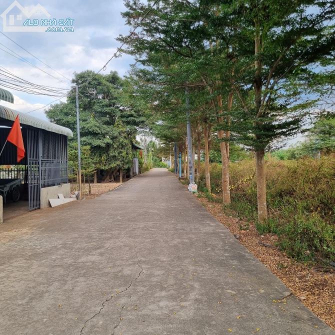 ✨ Lô đất mặt tiền đường bê tông qh khu dân cư TUYỆT ĐẸP. Diện tích: 5*21m. GIÁ: chỉ 979 Tr - 3
