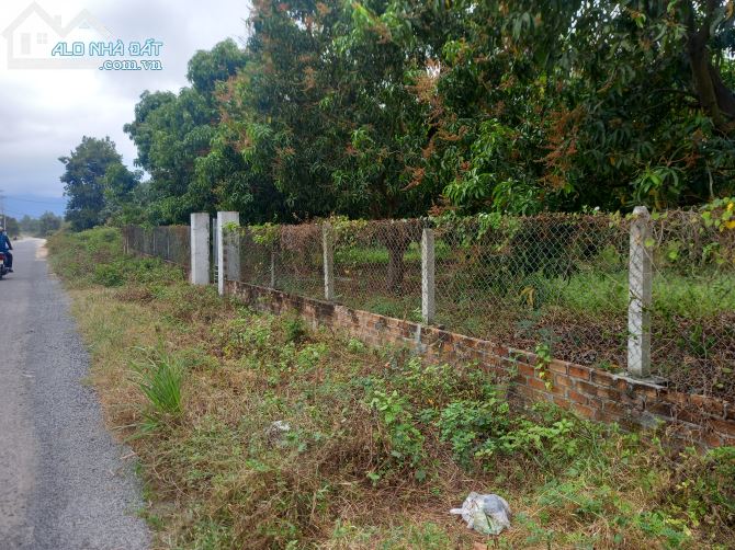 Bán 4800m2  đất Mặt Tiền Đại Hàn - Cam Đức - Cam Lâm - Khánh Hòa