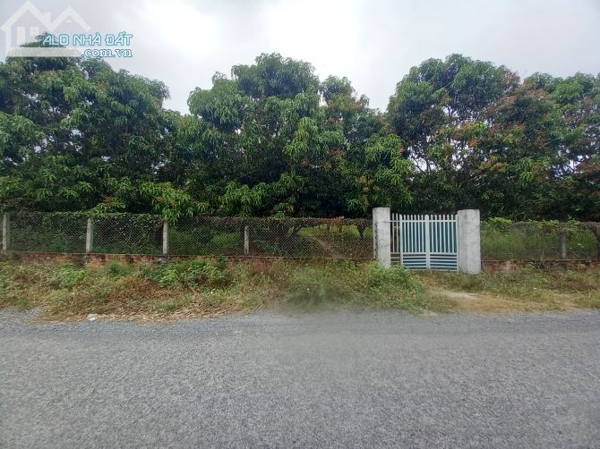 Bán 4800m2  đất Mặt Tiền Đại Hàn - Cam Đức - Cam Lâm - Khánh Hòa - 2