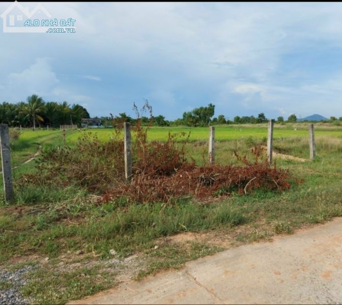 Cần bán 1 sào 3 sào đất cây trồng, km7 Hàm Chính- Hàm Thuận Bắc đầu tư sinh lời