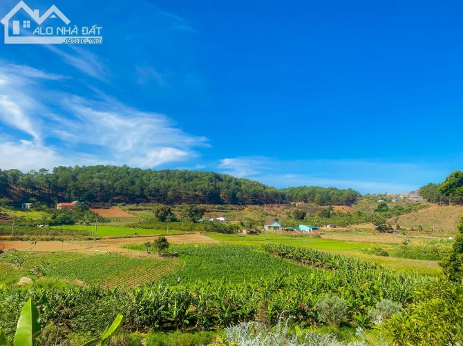 Bán gấp 2200m (50x50) đất VIEW SUỐI sát khu du lịch Thúy Thuận & Thung Lũng Hoa Tà Nung - 2