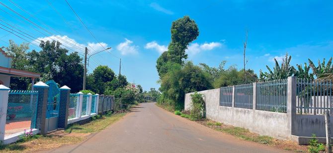 BÁN ĐẤT LONG PHƯỚC TP BÀ RỊA VŨNG TÀU ĐƯỜNG NHỰA 12M - 2