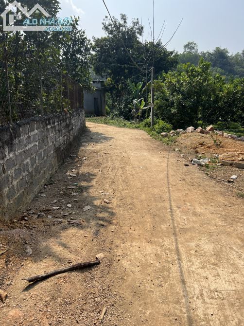 3380m Có 300ont, Còn lại Vườn Siêu Đẹp Để Làm Homestay, Nghỉ Dưỡng - 2
