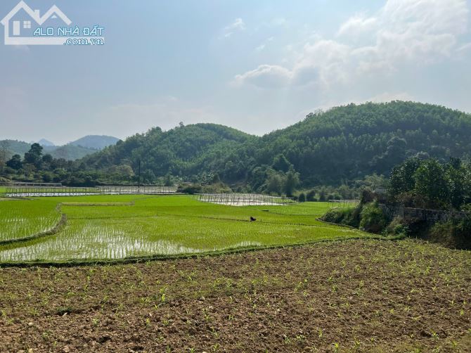 3380m Có 300ont, Còn lại Vườn Siêu Đẹp Để Làm Homestay, Nghỉ Dưỡng - 4