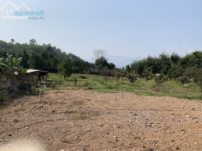3380m Có 300ont, Còn lại Vườn Siêu Đẹp Để Làm Homestay, Nghỉ Dưỡng - 5