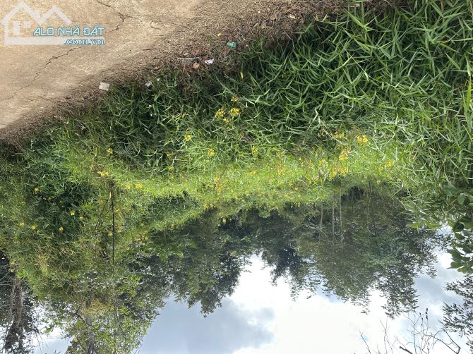 Bán lô đất hẻm Mậu Thân hướng Tây 5.4m x 20m giá 950 triệu - 2