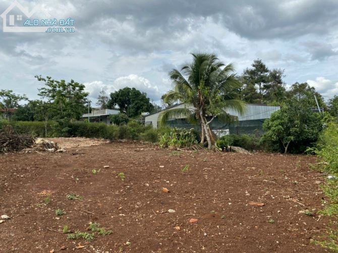 Bán đất thôn 9 Hoà Thắng , TP BMT , Đắk Lắk - 3