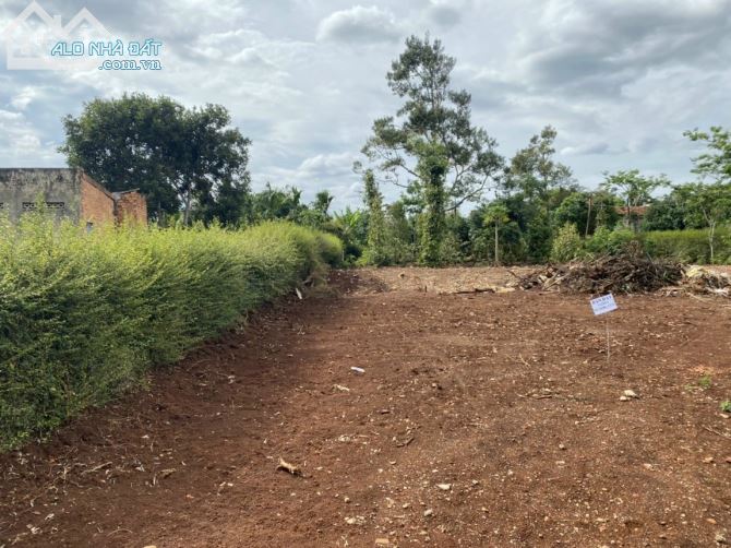 Bán đất thôn 9 Hoà Thắng , TP BMT , Đắk Lắk - 4