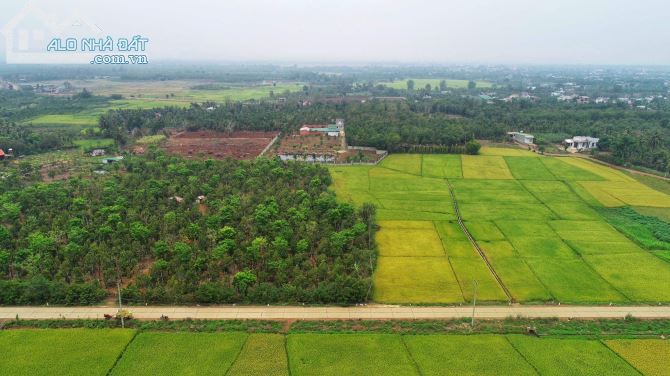 6,5 sào view ruộng mênh mông ngay chợ Đoàn Kết Hoà Khánh 4,3 tỷ Quỳnh Anh - 1