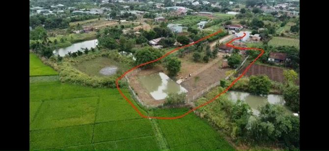 Nhà vườn 3,4 sào tại Cư Jút - Đắk Nông - Hạ giá còn 1,75 tỷ