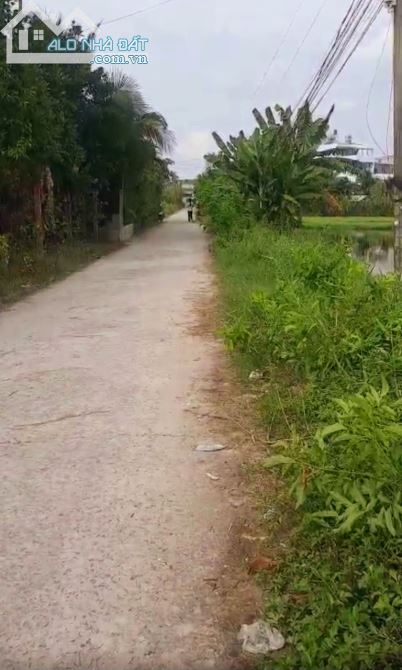 1000m đất đối diện trường mẫu giáo Tân Mỹ chỉ còn giá 3.7 tỷ - 3