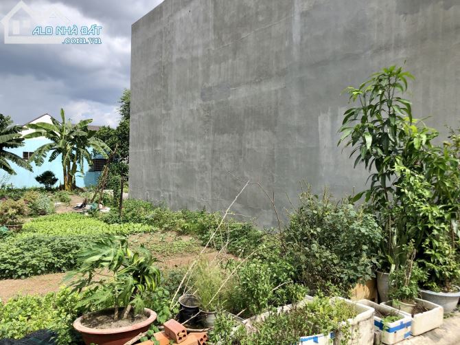 Gia đình bán gấp lô đất 4,15x17m 70m2 sổ thổ cư, khu phố 1,Tân Hiệp (phường Tam Hiệp mới) - 1