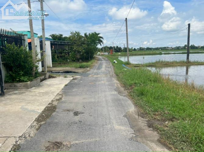 Đất 1 sẹt đường Tl825 vào xe tải tới đất. Từ TL825 vào tới đất chưa đầy 3 phút, đất sạch k - 2