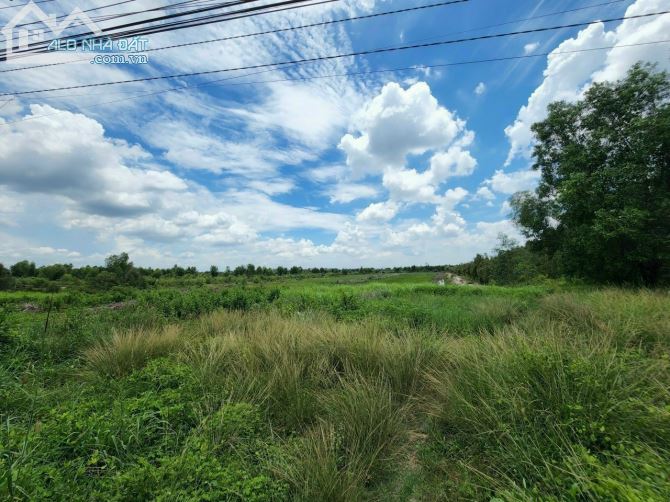Bán nền đất 3.7 mẫu (37.360m2) Mặt Tiền Quốc Lộ N2, Thạnh Hóa, Long An giá chỉ có 39 tỷ - 4