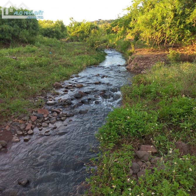 ✨ Hơn 1.2 hécta, 12.345m2 (số tiến cực đẹp), GIÁ SIÊU ĐẦU TƯ, CHỈ 50 TRIỆU - 1.000m2