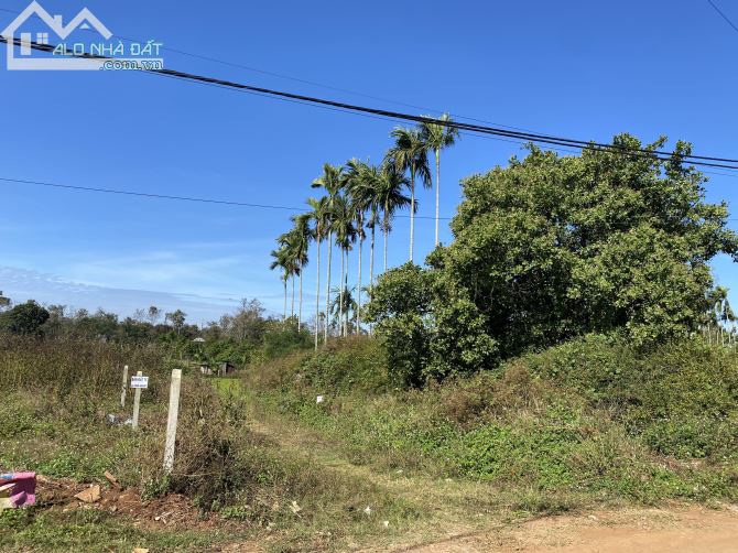 ĐẤT HẺM ĐẠI LỘ ĐÔNG TÂY 10X30 GIÁ TỐT - 2