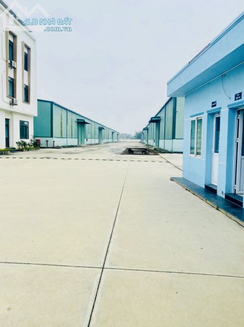 Cần cho thuê 02 nhà xưởng 2.400m2 cạnh nhau có PCCC - 1