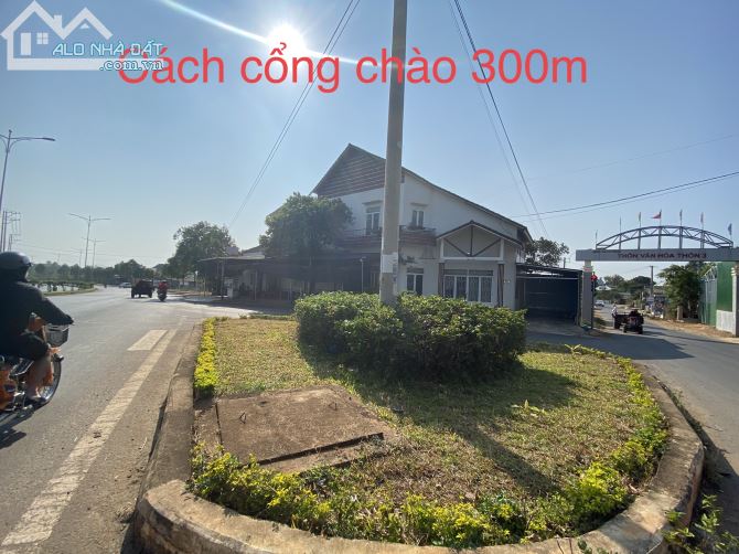 D1005 Bán đất MT đường C thôn 3- xã Cư Êbur- Tp Bmt- Daklak - 3