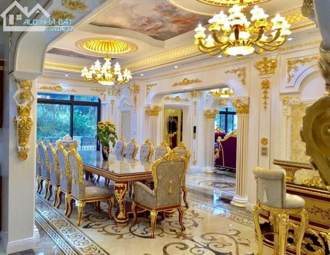 Biệt thự Khu Lão Thành CM. DT 300m2,  xây 4 tầng,  Mt 15m, có hầm. Lô góc. Đẹp long lanh - 3