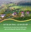 TL60 một ha đất view quận 1 làm homestay tại hàng gòn điện nước điện sẵn, xe hơi quay đầu