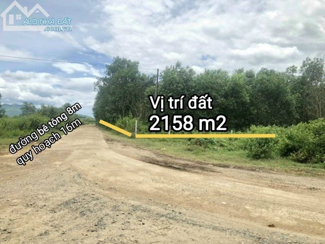 Bán đất Diên Đồng, Diên Khánh. gần đường nhựa Liên Xã, cách khu dân cư khoảng 1,2 km. - 1