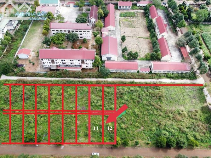 Đất 7x20,5 Hướng Tây, Đường Nhựa 17m, có vỉa hè - 2
