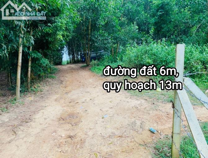 Bán đất Diên Đồng, Diên Khánh. gần đường nhựa Liên Xã, cách khu dân cư khoảng 1,2 km. - 3