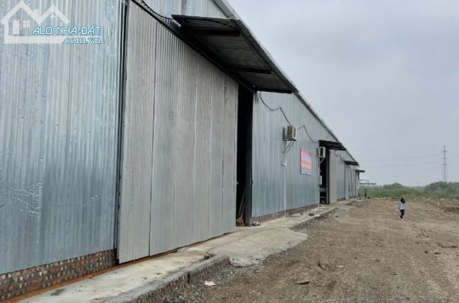 Cho thuê 8000m2 Kho xưởng tiêu chuẩn dựng mới tại  Thắng Lợi , Thường Tín , Hà Nội. - 1